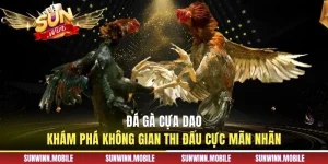 Đá Gà Cựa Dao - Khám Phá Không Gian Thi Đấu Cực Mãn Nhãn