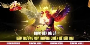 Trực Tiếp Đá Gà - Đấu Trường Của Những Chiến Kê Bất Bại