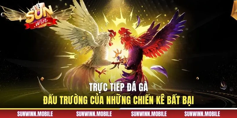 Trực Tiếp Đá Gà - Đấu Trường Của Những Chiến Kê Bất Bại